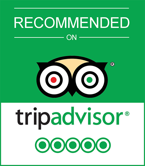 Trip Advisor